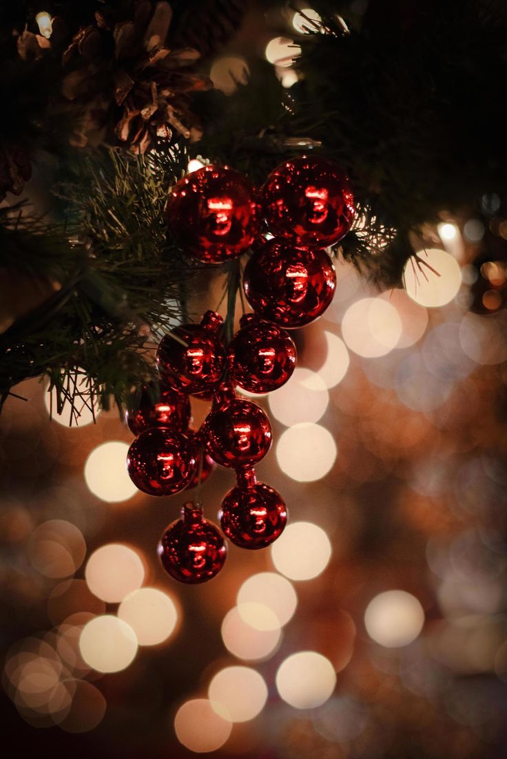 Descargar_primer_plano_de_rojo_bolas_de_navidad_gratis.jpg